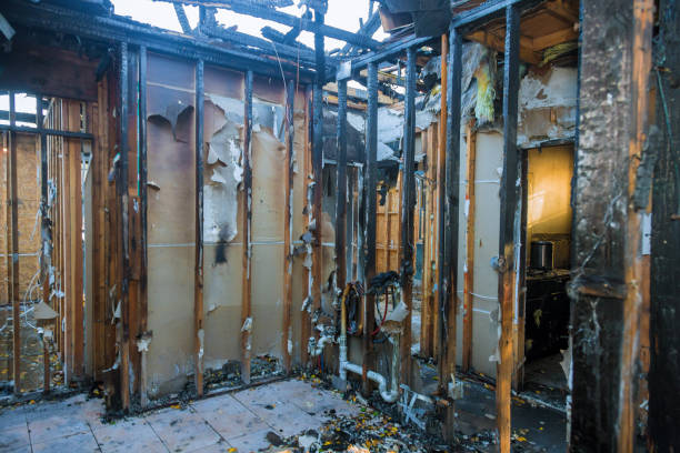 Professional Fire Damage Restoration technician working in Thonotosassa, FL