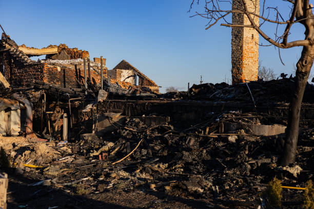 Reliable Fire Damage Restoration contractor in Thonotosassa, FL by Fire Damage Laser Cleaning