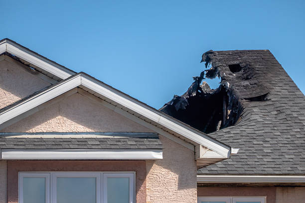 Top rated local Fire Damage Restoration specialists in Thonotosassa, FL